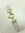 Bracciale rigido perle tre fili e oro giallo